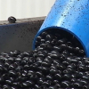 Aceituna negra, variedad estratégica del norte de Cáceres.