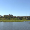 Imagen del nenúfar mexicano en el Guadiana