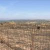 Ganadero de Alburquerque valora las pérdidas sufridas por el incendio forestal