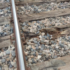 Imagen de las deterioradas traviesas de madera en el tramo Brazatortas-Guadalmez