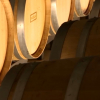 Barricas de vino