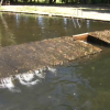 Polémica por el agua de la piscina de La Codosea