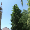Torre del Trabajo de Cáceres con antenas de televisión