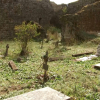 Cementerio de Santibáñez el Alto