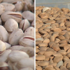 Pistachos y almendras de Extremadura