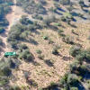Plantación de marihuana en Villar del Pedroso