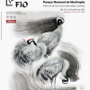 fio 2024