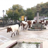 Trashumancia en Extremadura