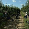 Preocupación en el campo