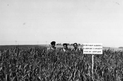 Estudios Agrarios