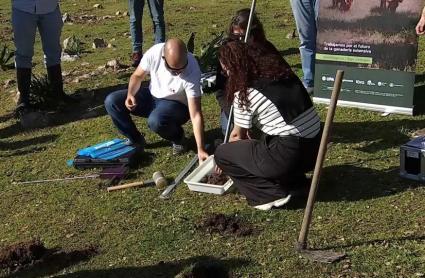 El proyecto Carbogán busca averiguar qué forma de pastoreo consigue más carbono orgánico y, por lo tanto, más biomasa. 