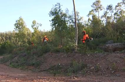 Extremadura desbrozará más de 2.000 hectáreas para prevenir incendios