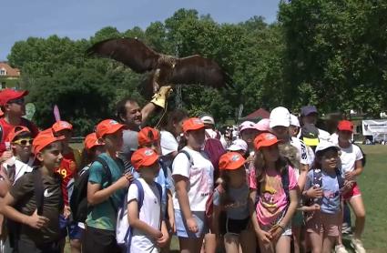 El Encuentro Escolar del Proyecto Proades 'Caza y Naturaleza' reúne en Alange a más de 500 alumnos y profesores