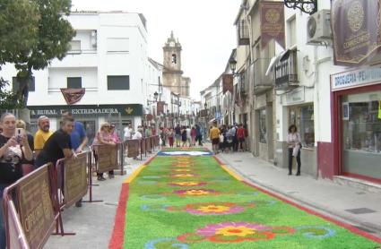 San Vicente de Alcántara supera los 4.000 kilos de viruta de madera para las alfombras de su Corpus Chris
