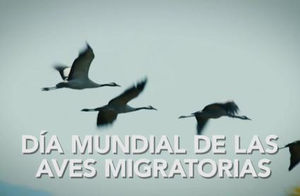 Mérida acoge la celebración del Día Mundial de las Aves Migratorias