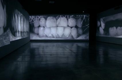 Exposición de Santiago Sierra en el Museo Helga de Alvear
