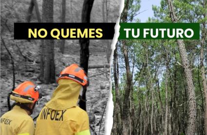 Campaña del INFOEX