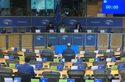 Debate sobre Almaraz en el Parlamento Europeo