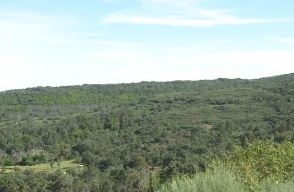 Terrenos en Sierra de Gata