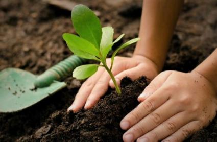 Agroecología
