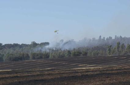 El incendio en Badajoz obliga a desalojar viviendas aisladas de manera preventiva