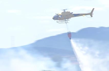 WWF pide al Gobierno que apruebe el Real Decreto con criterios comunes en CCAA para prevenir incendios forestales