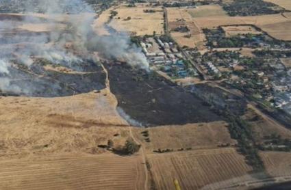 Efectivos del Plan Infoex trabajan en un incendio forestal en la zona de Las Vaguadas de Badajoz