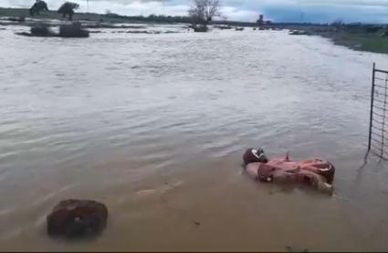Concluyen los trabajos de acondicionamiento del río Ortiga tras los daños provocados por las lluvias de marzo