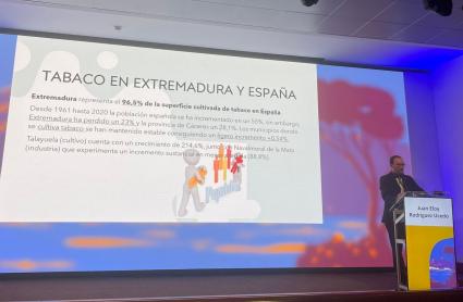 La Junta defiende la continuidad del cultivo de tabaco en Extremadura durante el congreso europeo UNITAB celebrado en Nápoles