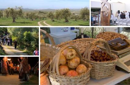 Opciones de ocio para este fin de semana