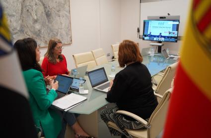 Sara García Espada ha estado presente en la reunión por videoconferencia