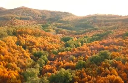 Vista aérea del Valle del Ambroz