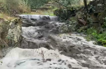Aguas turbias por el arrastre de cenizas tras los grandes incendios - Imagen de archivo.