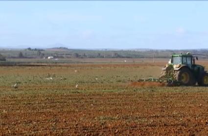 Un tractor trabaja el campo