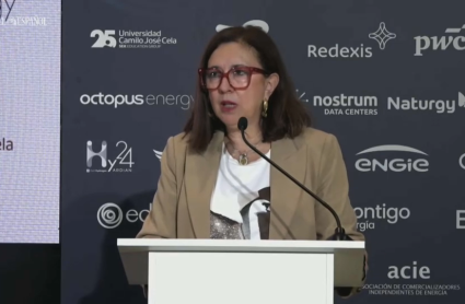 Mercedes Morán en su intervención en el II Observatorio de la Energía