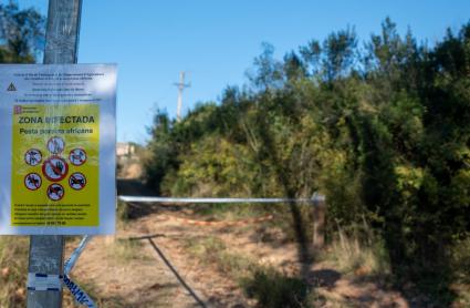 Zona en cuarentena por la Peste Porcina Africana en la sierra de Collserola