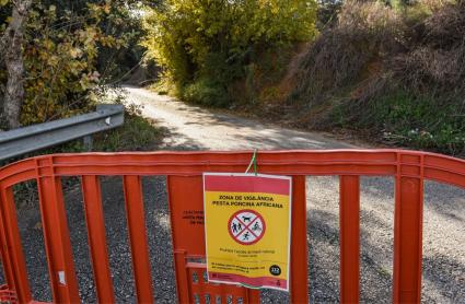 Zona de contención de la peste porcina africana