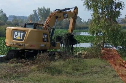 Máquinas trabajando en la retirada y eliminación del nenúfar mejicano en Badajoz