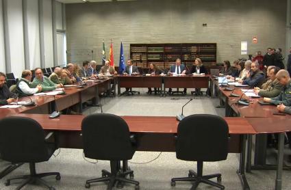 Reunión de la Junta con el Consejo Extremeño de Caza para prevenir la peste porcina africana