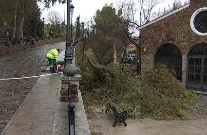 Trabajos en Cáceres