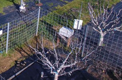 Riego en cultivos hortícolas