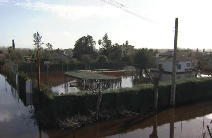 Zonas de Coria inundadas tras las últimas borrascas que ha sufrido la región