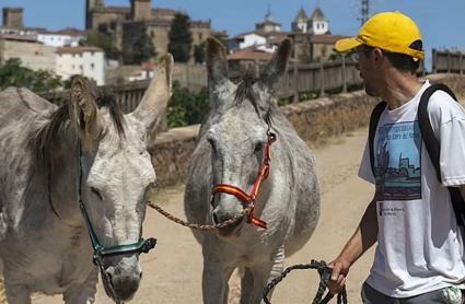 Espinete Rogelio, burro desaparecido