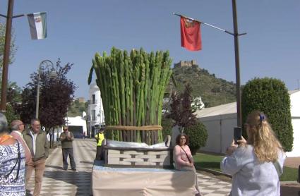 Burguillos del Cerro celebra la Feria del Espárrago