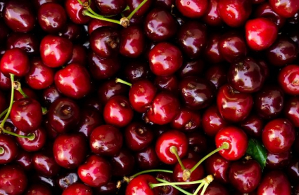 diferencias entre cerzas y picotas