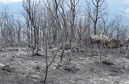 Imagen del incendio en Garganta de los Infiernos al final de la tarde