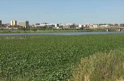 Situación del Río Guadiana en Badajoz