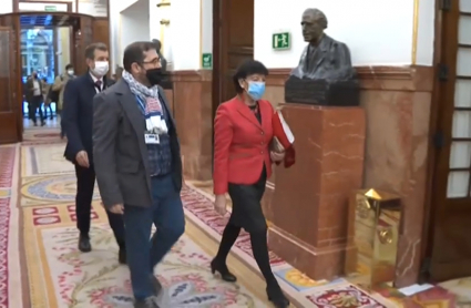 Llegada al Congreso de la ministra de Educación, Isabel Celaá, para participar en el debate de la nueva reforma educativa.