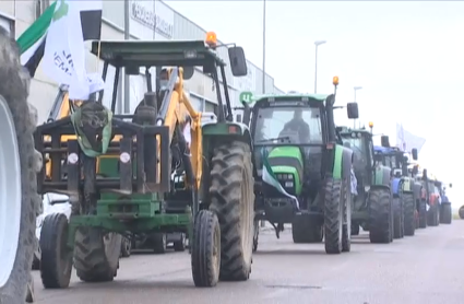 Imagen de la tractorada que ha tenido lugar Miajadas para protestar por los precios del tomate