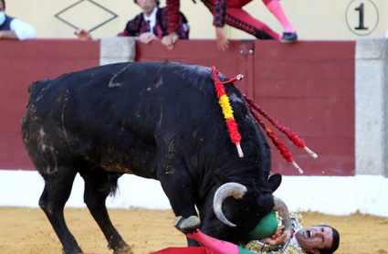 Cogida de Emilio de Justo
